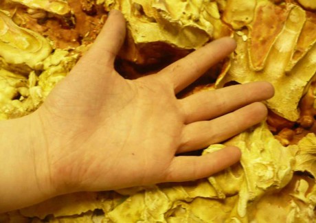 6e.- Dotyky v negatíve (2).JPG