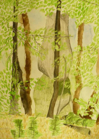 D.Medveď -SÚĽOVSKÉ SKALY